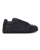 Dino Low Top Sneaker Shoes Black