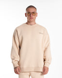 Designer Oversized Beige Sweatshirt Tracksuit Set (6)