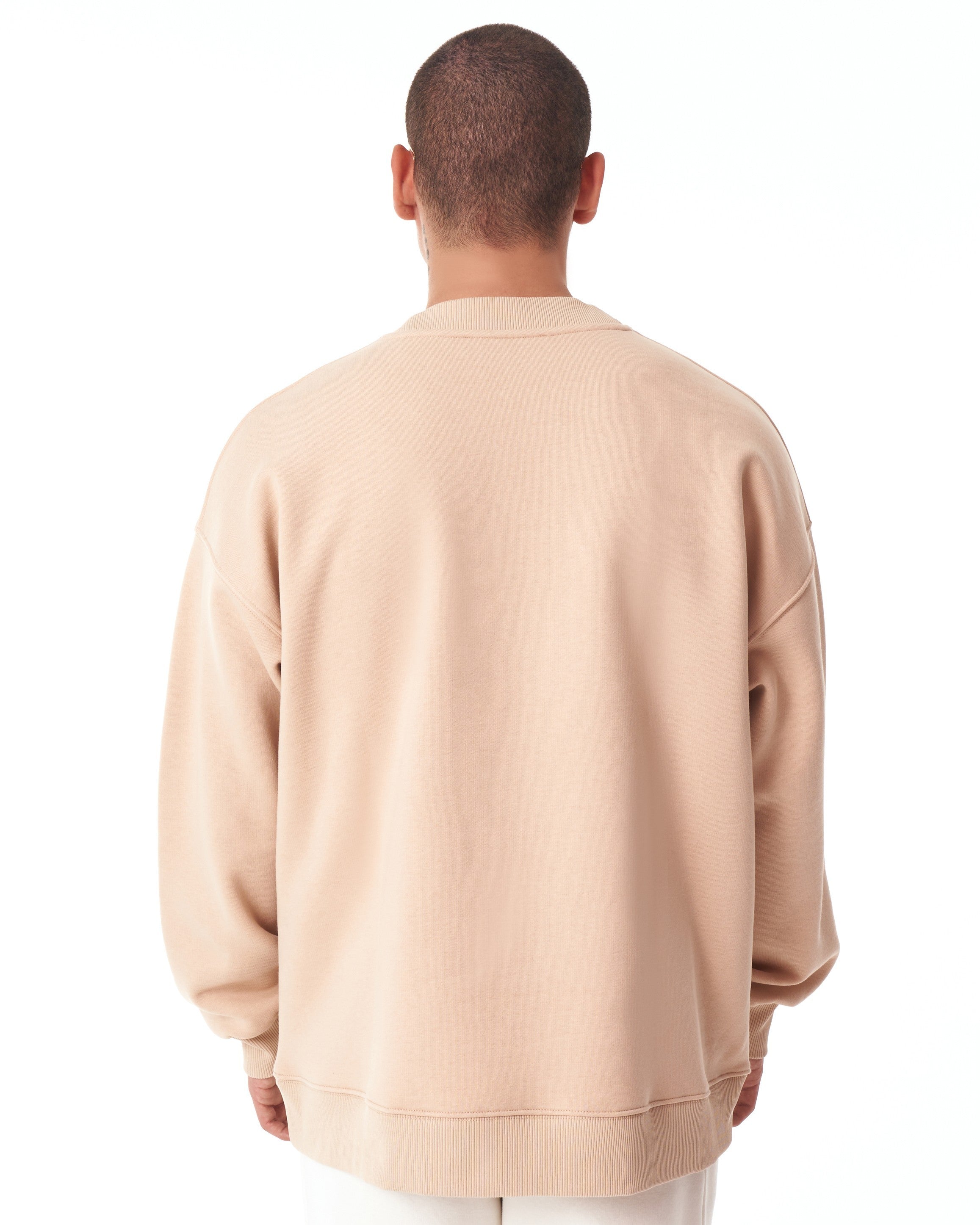 Ikigai Oversized Martin Valen Beige Sweatshirt met 3D Print voor Heren