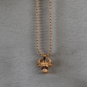 Men's Taurus Necklace Gold - 1